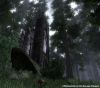 ElderScrollsIVOblivion 46